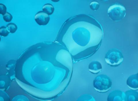 基因大數據加人工智慧技術分析卵巢低惡性度腫瘤