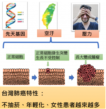 台灣肺癌特性 : 不抽菸、年輕化、女性患者越來越多