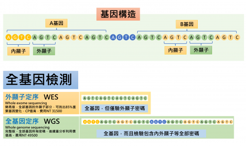 全基因定序以及全基因外顯子定序的差別