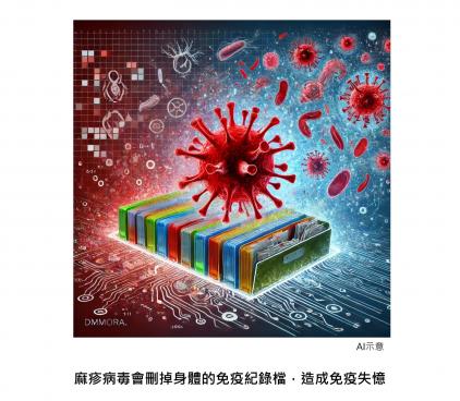麻疹會造成「免疫失憶」：身體的免疫紀錄檔會被刪掉