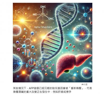升高的肝癌指數 : 被身體潛藏的重大改變重新喚醒的胎兒基因