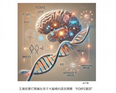 語言開關