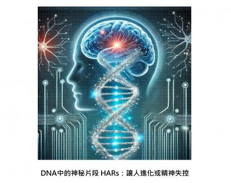 DNA中的神秘片段 HARs：驅動大腦神經系統加速進化，但有些人可能因此精神失控