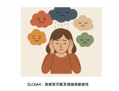 情緒高敏感，是一種天賦，也可能同時造成不可承受之重