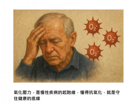 抗癌又護腦的關鍵字  :  氧化壓力、抗氧化