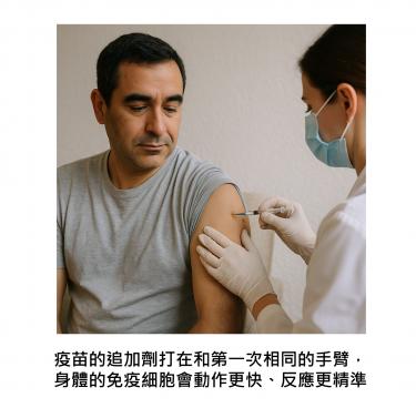 別「左手打過換右手」 :  研究揭示：疫苗同邊接種保護力更強