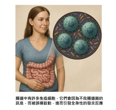 為什麼發炎會從腸道燒到全身？了解腸道的淋巴細胞、細菌與免疫間的奇妙關係