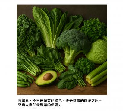 為什麼要多吃綠色蔬菜？從綠色小精靈葉綠素說起