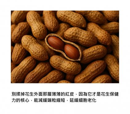 花生為什麼被叫「長壽果」？ 最新研究揭示 - 原來這種「帶殼烘烤花生」能悄悄拉長端粒，延緩細胞老化