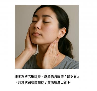 頂尖研究認證 : 輕柔刺激臉和脖子，就能幫助清除腦內廢物 