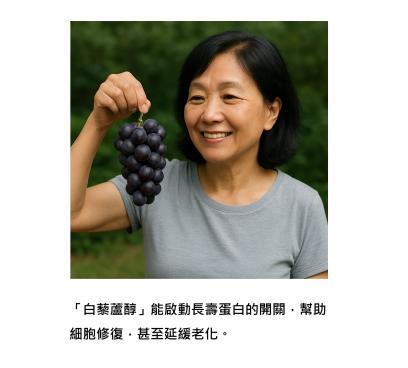 打開「身體修復的長壽開關」：白藜蘆醇是藏在食物裡的密碼