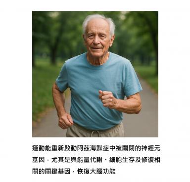運動如何讓大腦重開機及基因重設，逆轉阿茲海默症的細胞命運