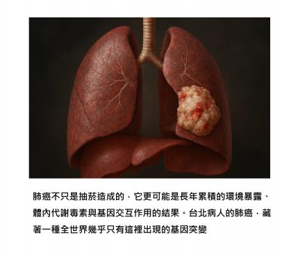 台北人也上國際肺癌研究版面，關鍵突變來自早已禁用的「馬兜鈴酸」痕跡…仍有未知風險