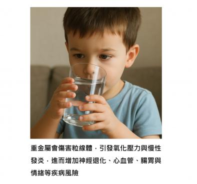 身體每天在幫我們「吃下去的毒」買單 - 重金屬悄悄入侵，從腸胃到全身的健康警訊