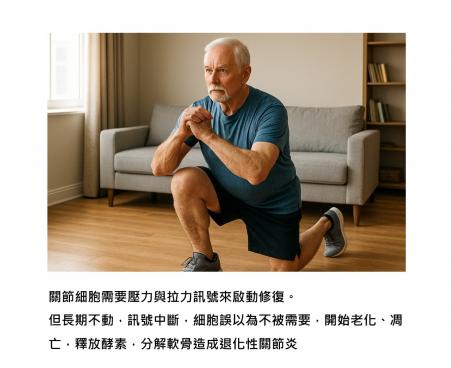 從科學揭開關節炎與運動的真相：不是動太多，而是動得不對，動得太少