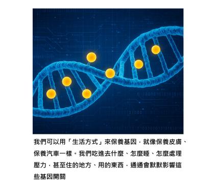 生活裡就能實行的「基因保養」：不是基因不好，是我們的生活影響到它的作用