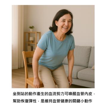 停經後血壓老是悄悄飆高？每天多「坐站轉換」幾次，讓血管重新找回彈性
