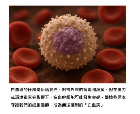 白血球不是保護我們的？為什麼會變成癌細胞？了解急性白血病及誘發因素