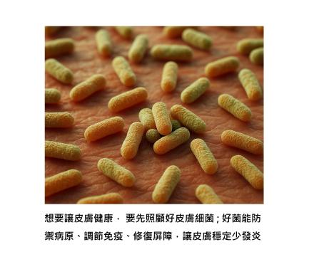 皮膚的好菌別急著洗掉 – 維持細菌平衡才能守護健康
