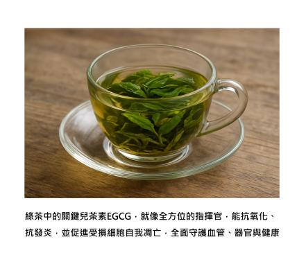 一杯綠茶，藏著的不只是清香，還有可以抗氧化抗發炎的「兒茶素」