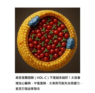 好膽固醇不是越高越好 - 給大家的暖心提醒
