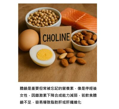 膽鹼 - 餐桌上的小營養素竟是免疫力的關鍵