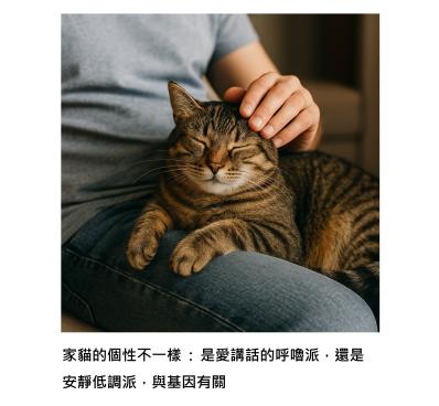 為什麼有的喵星人愛講話，有的卻安靜，原因其實藏在基因裡