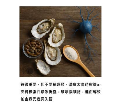 鋅要補多少 - 少一點不行，多一點會傷腦