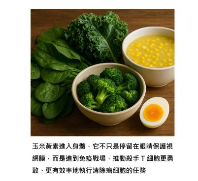 菠菜、羽衣甘藍、青花菜、蛋黃、玉米湯 … 玉米黃素能強化免疫細胞對抗癌細胞