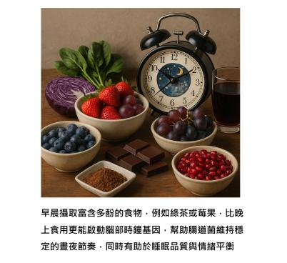 腸道菌的日夜節奏 - 讓身體跟著自然走