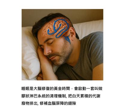 壓力會破壞我們的大腦防線 - 血腦屏障