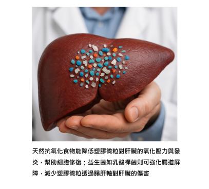 塑膠微粒傷肝不是命中注定 - 最新研究揭露保護的方法