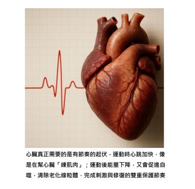 心臟的節奏比強度更重要 - 守護心臟的生活密碼