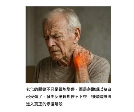 老化不是慢慢變老，是身體誤會「一直在受傷」— 真正讓人變老的，不是時間，而是未癒合的發炎