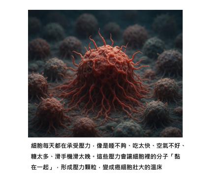癌細胞的「邪惡聚會」 - 從生活壓力到肺癌形成，找出日常生活避開癌化的關鍵路徑