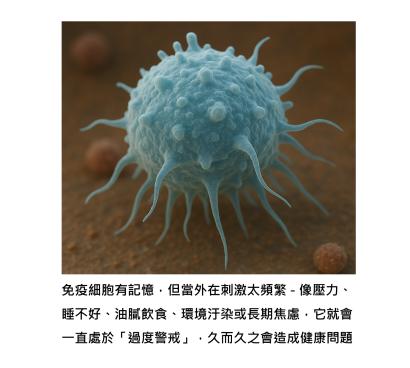 感冒明明好了，為什麼人還是累、喉嚨還怪怪的 ? 認識「免疫系統的記憶」，學會讓身體真正放下戰備狀態