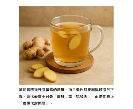 薑能讓脂聯素上升、腰圍變細，代謝悄悄啟動了