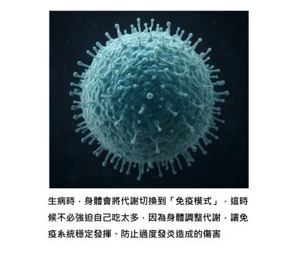 為什麼生病時會沒食慾？身體不是壞掉，而是正在「幫自己修復」