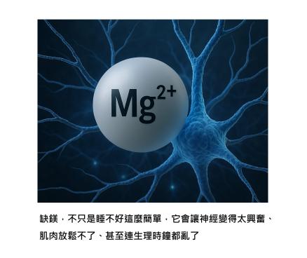 鎂，身體放鬆的關鍵 