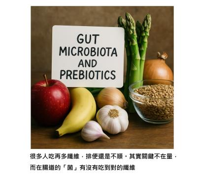 「不是每種纖維都能救腸道」- 腸道卡住,生活就卡住,真正能啟動自癒力的,是益生菌最愛吃的食物
