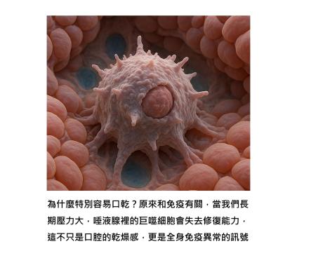 嘴巴乾乾的,不只是缺水而已 - 從一滴唾液,看見身體的免疫節奏