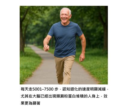 每天五千步,走出失智的門檻:讓大腦慢老七年 ; 5001–7500步是黃金保護區,失智風險降低高達 54%