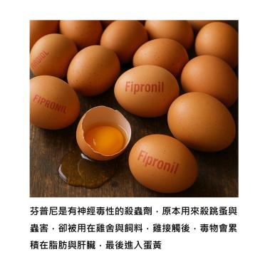 毒雞蛋不是歐洲的故事，是我們餐桌正在發生的現實 – 從芬普尼(Fipronil)看見神經、代謝與下一代的守護力