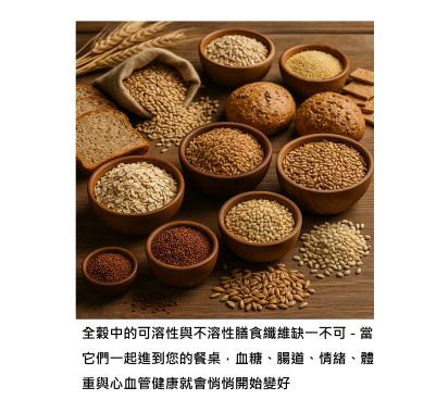 每天那一口「全穀纖維」,正在悄悄決定我們未來十年的血糖、大腸與心血管命運