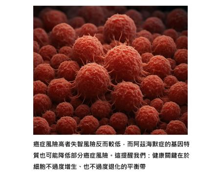 癌症與失智不大會同時發生 - 平衡細胞生長與退化的生命智慧