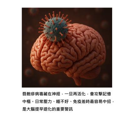 嘴角的小水泡，與大腦退化的祕密連結，以及預防的方法