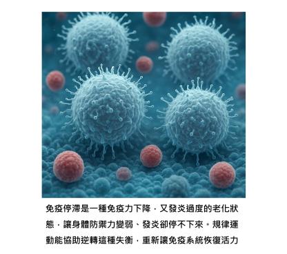 運動,讓免疫系統變年輕