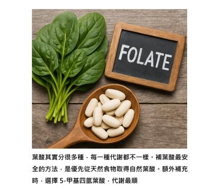 葉酸補錯,身體最怕的是「葉酸陷阱」
