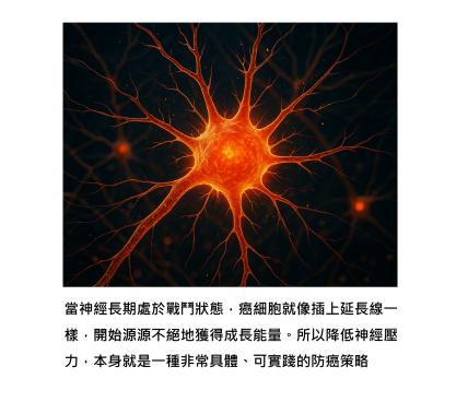 神經壓力一上來,癌細胞就開始充電