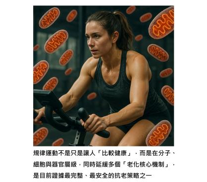 運動 - 為什麼越動越有精神又抗老 ?